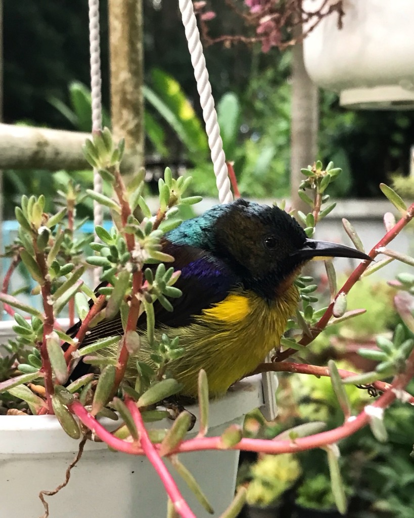 Wildlife Sanctuary